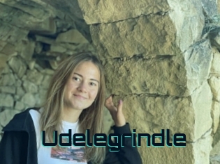 Udelegrindle