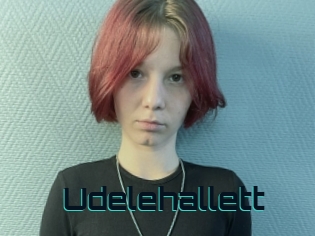 Udelehallett