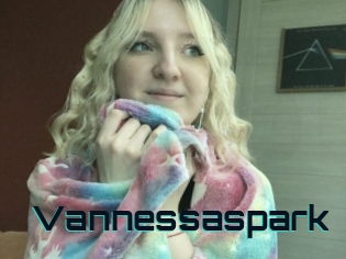 Vannessaspark