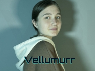 Vellumurr