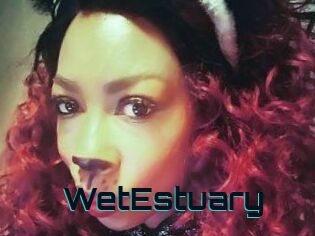 WetEstuary