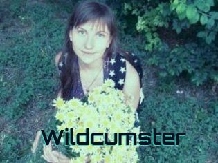 Wildcumster