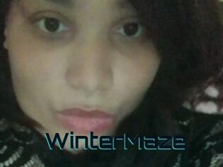 Winter_Maze