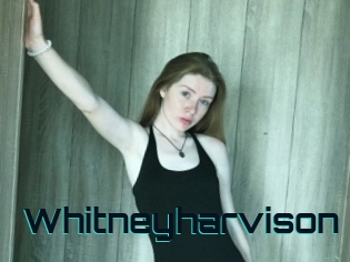 Whitneyharvison