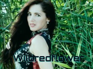 Wildredflower