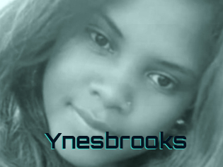 Ynesbrooks