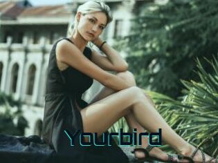 Yourbird