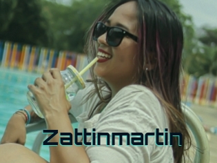 Zattinmartin