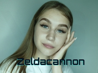 Zeldacannon